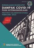 Ringkasan Eksekutif Dampak Covid-19 Pada Ketenagakerjaan Provinsi Kalimantan Utara Februari 2021